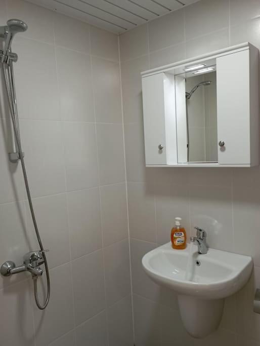 Gradina Apartment Montana Buitenkant foto